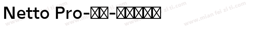 Netto Pro-常规字体转换